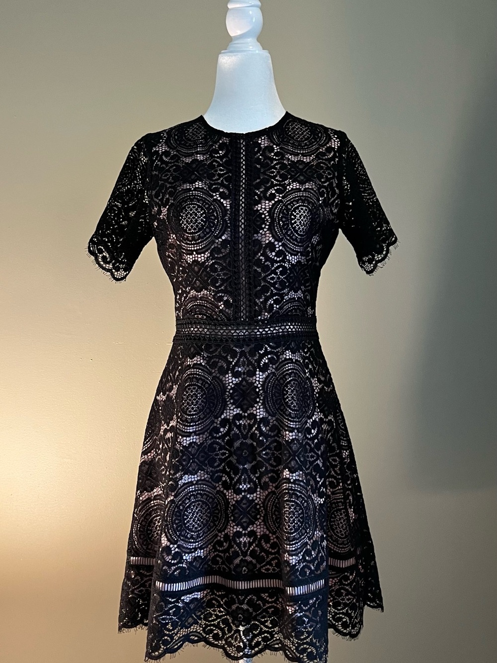 BB‎ Dakota Black Lace Short Sleeve Fit & Flare Mini Dress